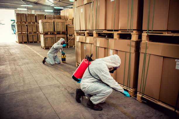 Best Local Pest Control Services  in Manchester, GA
