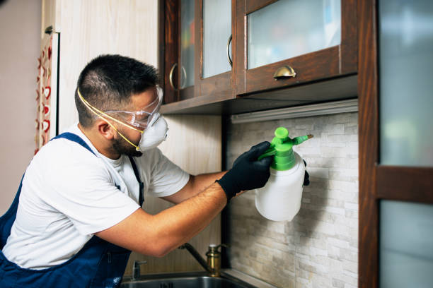 Best Rat Extermination Near Me  in Manchester, GA