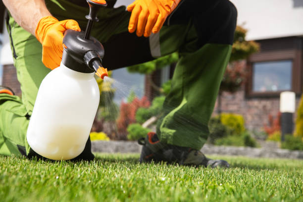 Best Exterminator Services  in Manchester, GA