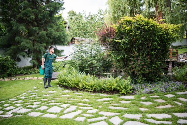 Best Best Pest Control Companies  in Manchester, GA