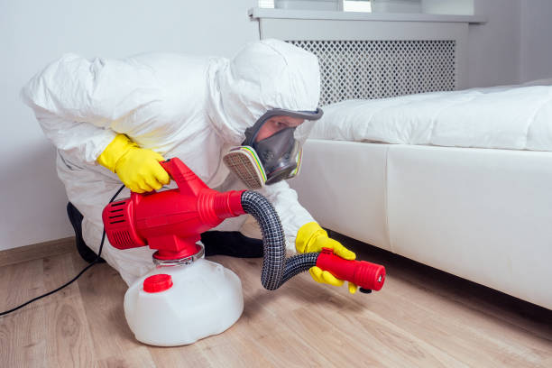 Best Mosquito Control Services  in Manchester, GA