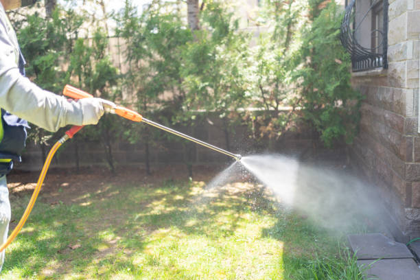 Best Affordable Pest Control Services  in Manchester, GA