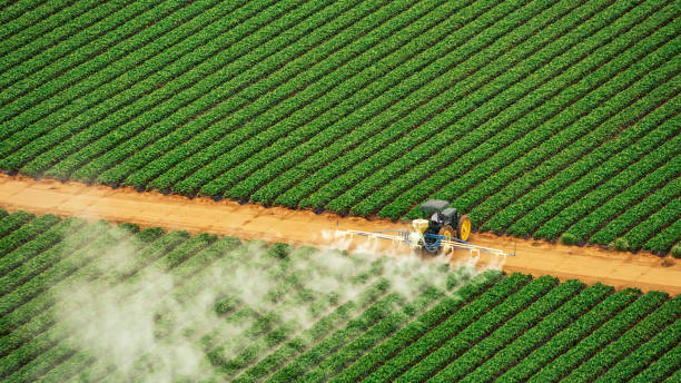 Pest Control Cost in Manchester, GA