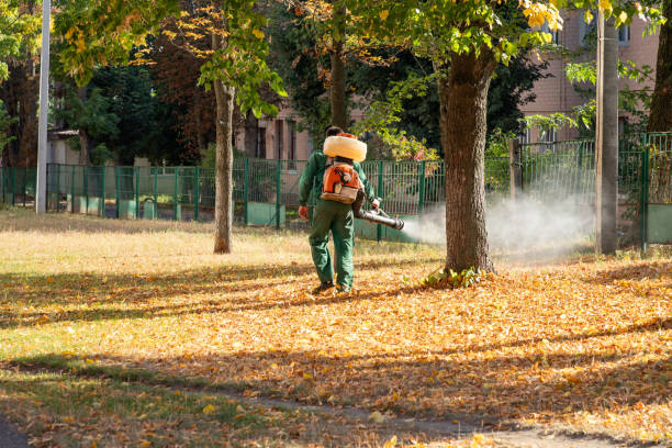 Insect Control in Manchester, GA