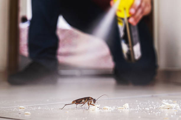 Best Emergency Pest Control  in Manchester, GA