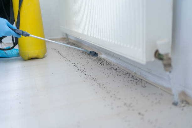 Best Pest Removal Services  in Manchester, GA