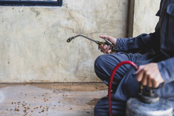 Best Pest Control Cost  in Manchester, GA